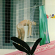 Illustration for article titled Paris Hilton Proof That 'Outsider Art' Is Neither 'Outsider' Nor 'Art'
